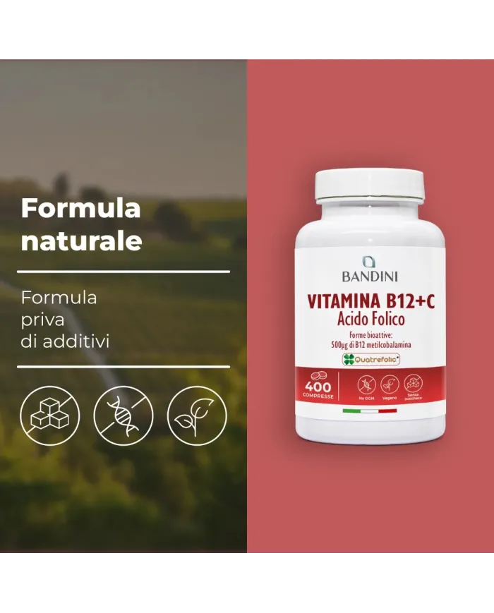 Vitamina B12 + Acido folico + Vitamina C - 400 compresse